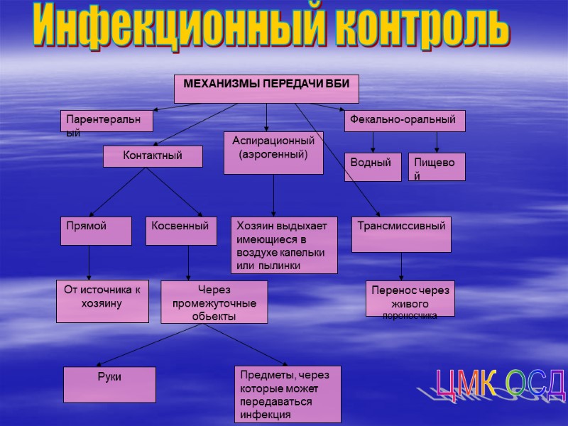 Инфекционный контроль От источника к хозяину ЦМК ОСД